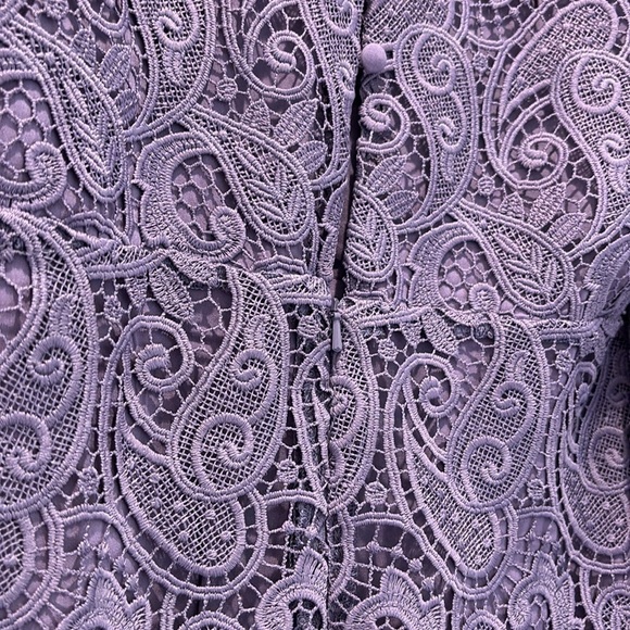 Anthropologie Maeve Embroidered Lace Mini Dress - Picture 5 of 10